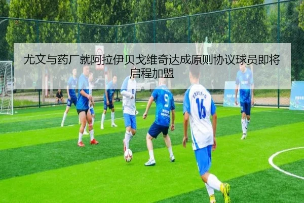 尤文与药厂就阿拉伊贝戈维奇达成原则协议球员即将启程加盟